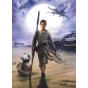 Fototapeta Star Wars Rey Skywalker Komar 4-448 (184 x 254 cm) - Sklep z Fototapetami na ścianęTapetydekoracje.pl
