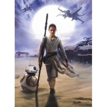 Fototapeta Star Wars Rey Skywalker Komar 4-448 (184 x 254 cm) - Sklep z Fototapetami na ścianęTapetydekoracje.pl