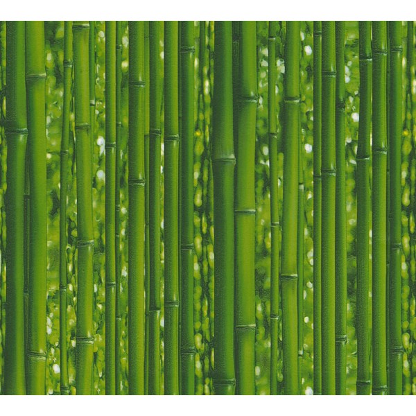 Tapeta Gałęzie Bambusa na Zielonym Tle AS-Creation AS959361 - Sklep z Tapetami na ścianę Tapetydekoracje.pl