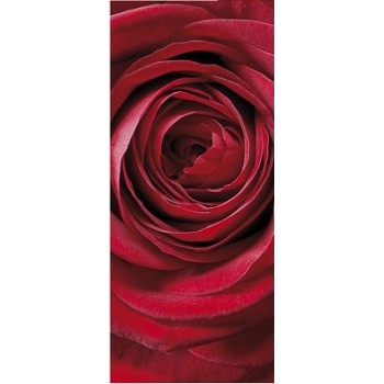 Fototapeta Komar 2-1010