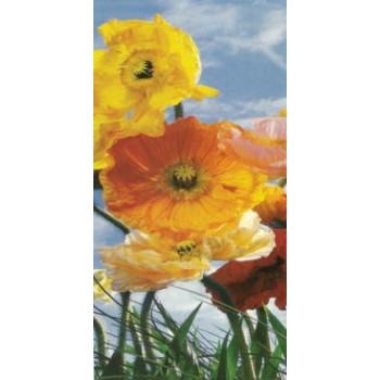 Fototapeta Komar 2-1257 SP