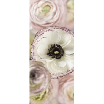 Fototapeta Komar 2-1884 SP