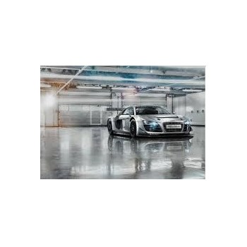 Fototapeta Komar 8-957