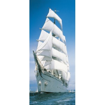 Fototapeta Komar 2-1017 