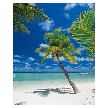 Fototapeta Komar 4-883