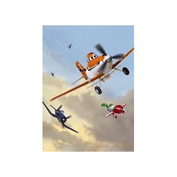 Fototapeta Komar 4-452