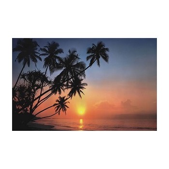 Fototapeta Komar 8-030 SP