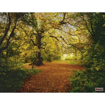 Fototapeta Komar 8-068