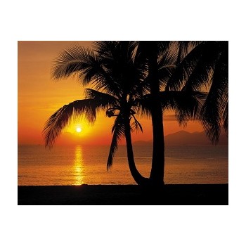 Fototapeta Komar 8-255