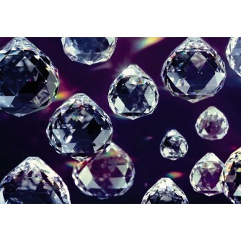 Fototapeta Komar 8-737 SP