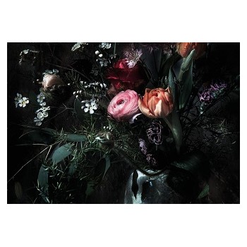 Fototapeta Komar 8-999