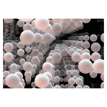 Fototapeta Komar 8-880