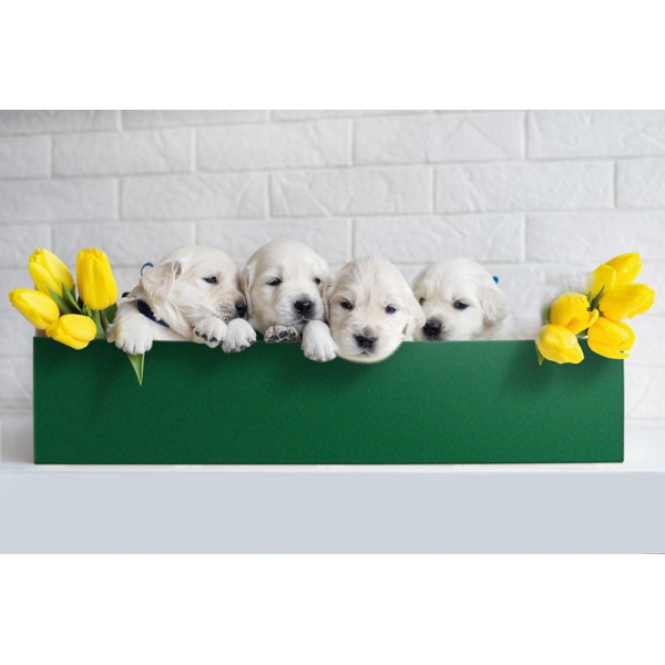 Okleina d-c-fix 205-1716 Samoprzylepna welur  (45 cm x 5 m) - Sklep z Tapetami klasycznymi Tapetydekoracje.pl