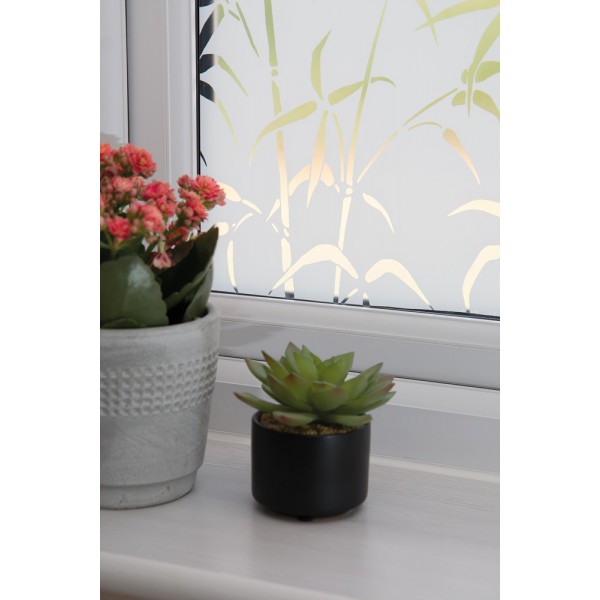 Okleina d-c-fix 200-8287 Samoprzylepna drewno  (67,5 cm x 15 m) - Sklep z Okleinami Tapetydekoracje.pl