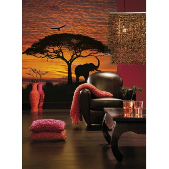 Fototapeta Wschód Słońca w Afryce Komar 4-501 African Sunset (194 x 270 cm) - Sklep z Fototapetami na ścianęTapetydekoracje.pl