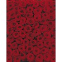 Fototapeta Róże Czerwone Komar 4-077 Roses (194 x 270 cm) - Sklep z Fototapetami na ścianęTapetydekoracje.pl