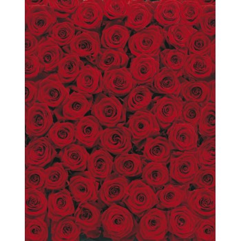 Fototapeta Róże Czerwone Komar 4-077 Roses (194 x 270 cm) - Sklep z Fototapetami na ścianęTapetydekoracje.pl