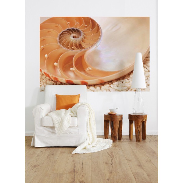 Fototapeta Muszla Komar 1-601 Nautilus (184 x 127 cm) - Sklep z Fototapetami na ścianęTapetydekoracje.pl