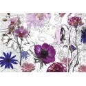 Fototapeta Kwiaty Fioletowe Komar 8-887 Purple (368 x 254 cm) - Sklep z Fototapetami na ścianęTapetydekoracje.pl