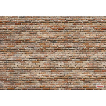 Fototapeta Ceglana Ściana Komar 8-741 Backstein (368 x 254 cm) - Sklep z Fototapetami na ścianęTapetydekoracje.pl