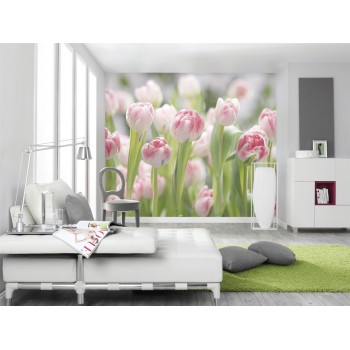 Fototapeta Kwiaty Tulipany Komar 8-708 Secret Garden (368 x 254 cm) - Sklep z Fototapetami na ścianęTapetydekoracje.pl