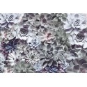 Fototapeta Kwiaty Wielokolorowe Komar 8-962 Shades (368 x 254 cm) - Sklep z Fototapetami na ścianęTapetydekoracje.pl