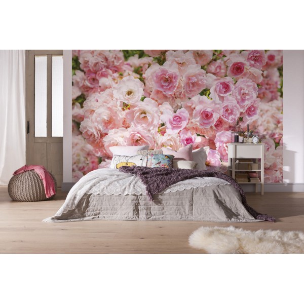 Fototapeta Komar 8-937 Rosa (368 x 254 cm) - Sklep z Fototapetami na ścianęTapetydekoracje.pl