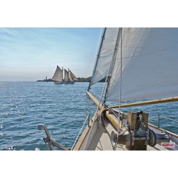 Fototapeta Jacht na Oceanie Komar 8-526 Sailing (368 x 254 cm) - Sklep z Fototapetami na ścianęTapetydekoracje.pl