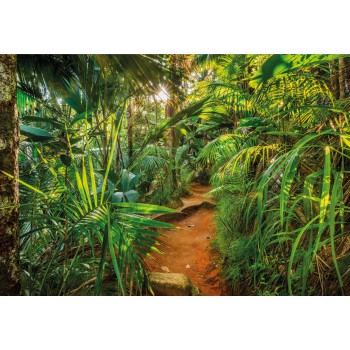 Fototapeta Komar 8-989 Jungle Trail (368 x 254 cm) - Sklep z Fototapetami na ścianęTapetydekoracje.pl
