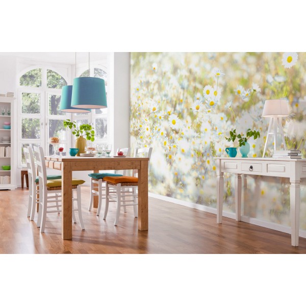 Fototapeta Kwiaty Stokrotki na Łące Komar 8-994 Daisies (368 x 254 cm) - Sklep z Fototapetami na ścianęTapetydekoracje.pl