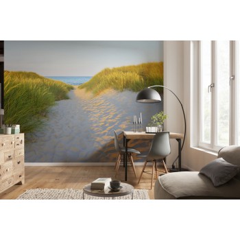 Fototapeta Droga Piaszczysta Komar 8-995 Sandy Path (368 x 254 cm) - Sklep z Fototapetami na ścianęTapetydekoracje.pl