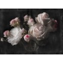 Fototapeta Kwiaty Róże Białe Komar 4-876 Eternity (254 x 184 cm) - Sklep z Fototapetami na ścianęTapetydekoracje.pl