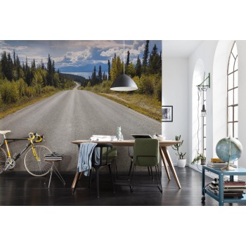 Fototapeta Droga w Kanadzie Komar 8-532 Atlin Road (368 x 254 cm) - Sklep z Fototapetami na ścianęTapetydekoracje.pl