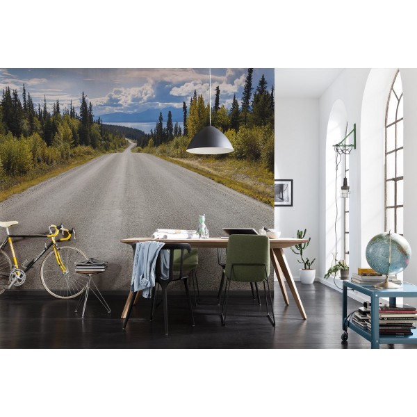 Fototapeta Droga w Kanadzie Komar 8-532 Atlin Road (368 x 254 cm) - Sklep z Fototapetami na ścianęTapetydekoracje.pl