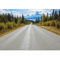 Fototapeta Droga w Kanadzie Komar 8-532 Atlin Road (368 x 254 cm) - Sklep z Fototapetami na ścianęTapetydekoracje.pl
