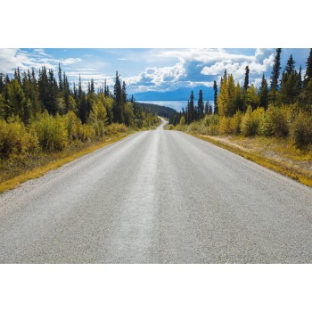 Fototapeta Droga w Kanadzie Komar 8-532 Atlin Road (368 x 254 cm) - Sklep z Fototapetami na ścianęTapetydekoracje.pl