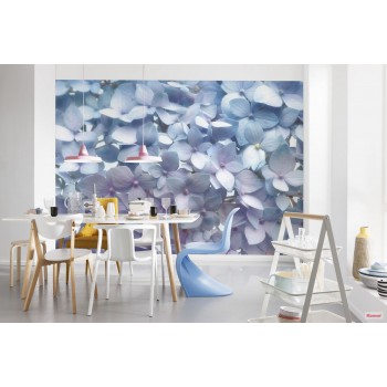 Fototapeta Płatki Kwiatów Niebieskie Komar 8-961 Light Blue (368 x 254 cm) - Sklep z Fototapetami na ścianęTapetydekoracje.pl
