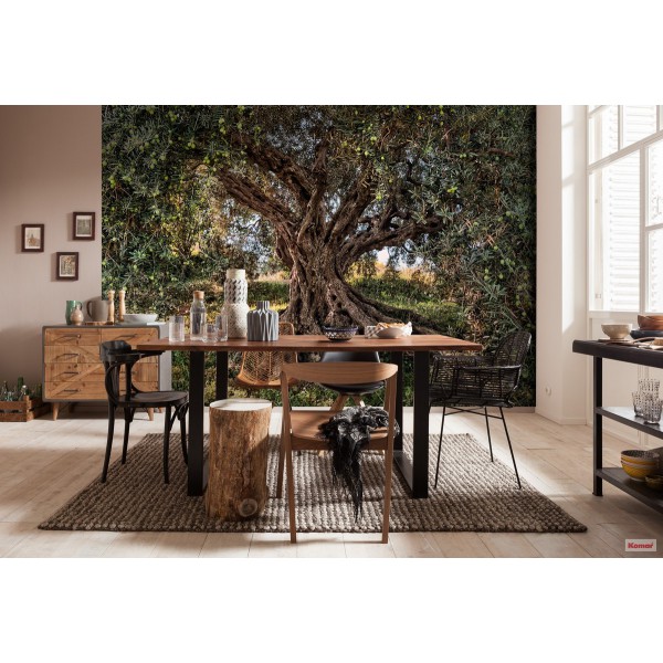 Fototapeta Drzewo Oliwne Komar 8-531 Olive Tree (368 x 254 cm) - Sklep z Fototapetami na ścianęTapetydekoracje.pl