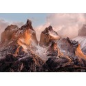 Fototapeta Góry w Chile Komar 4-530 Torres del Paine (254 x 184 cm) - Sklep z Fototapetami na ścianęTapetydekoracje.pl